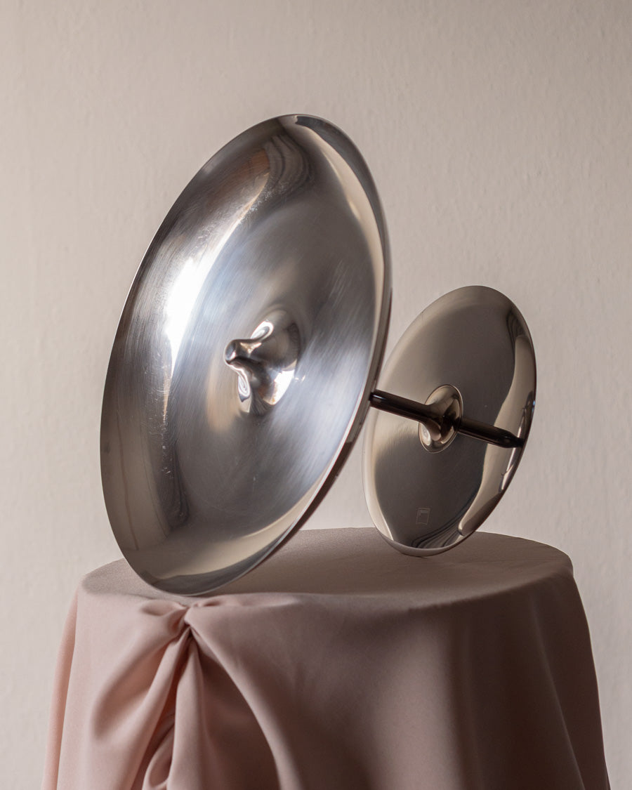 Khodi Feiz nerūdijančio plieno vaisinė sukurta Giannini