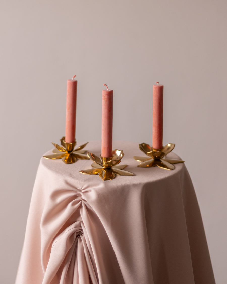 Žvakidės - Žalvarinės gėlės