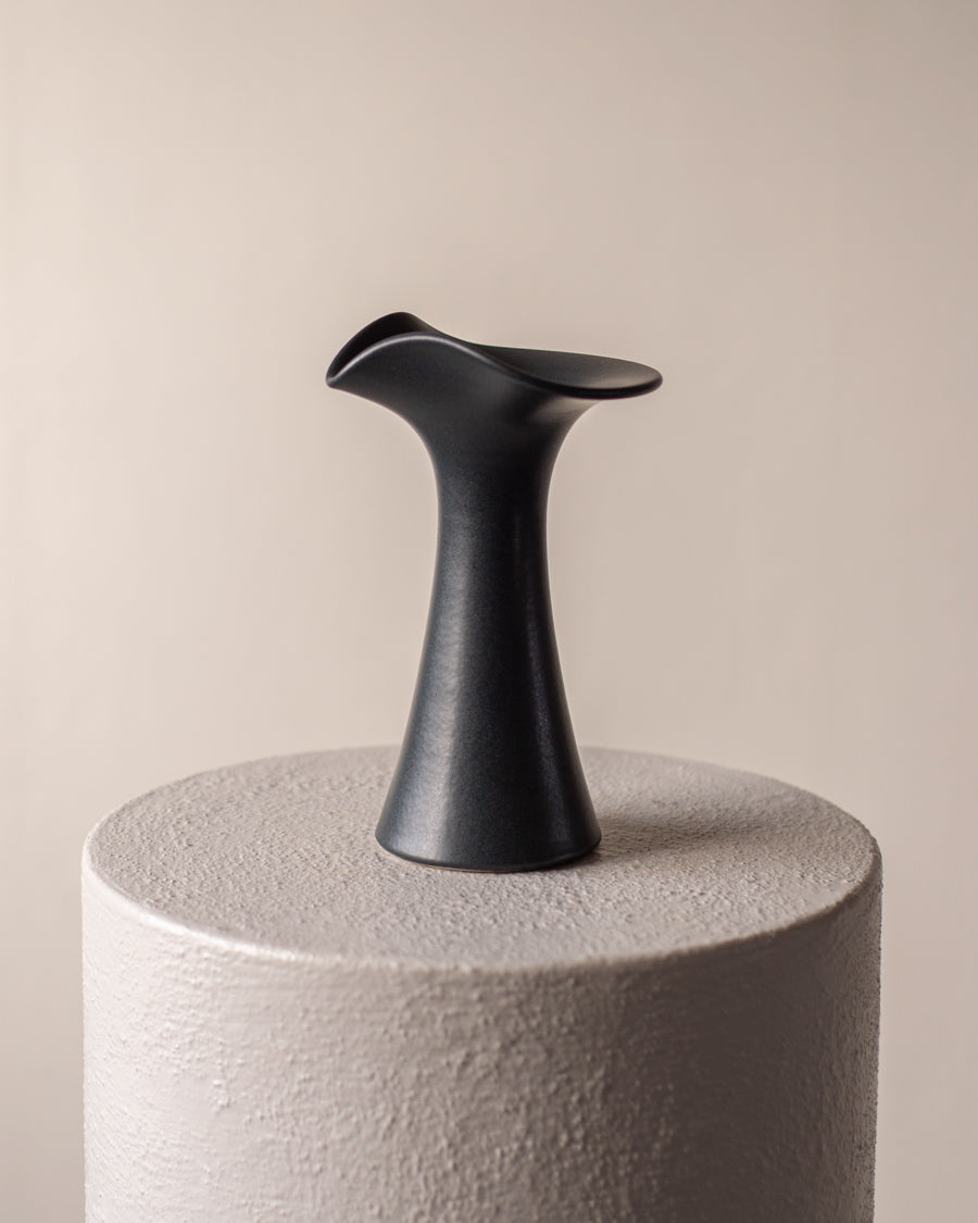 Juoda vaza su banguotu kanteliu