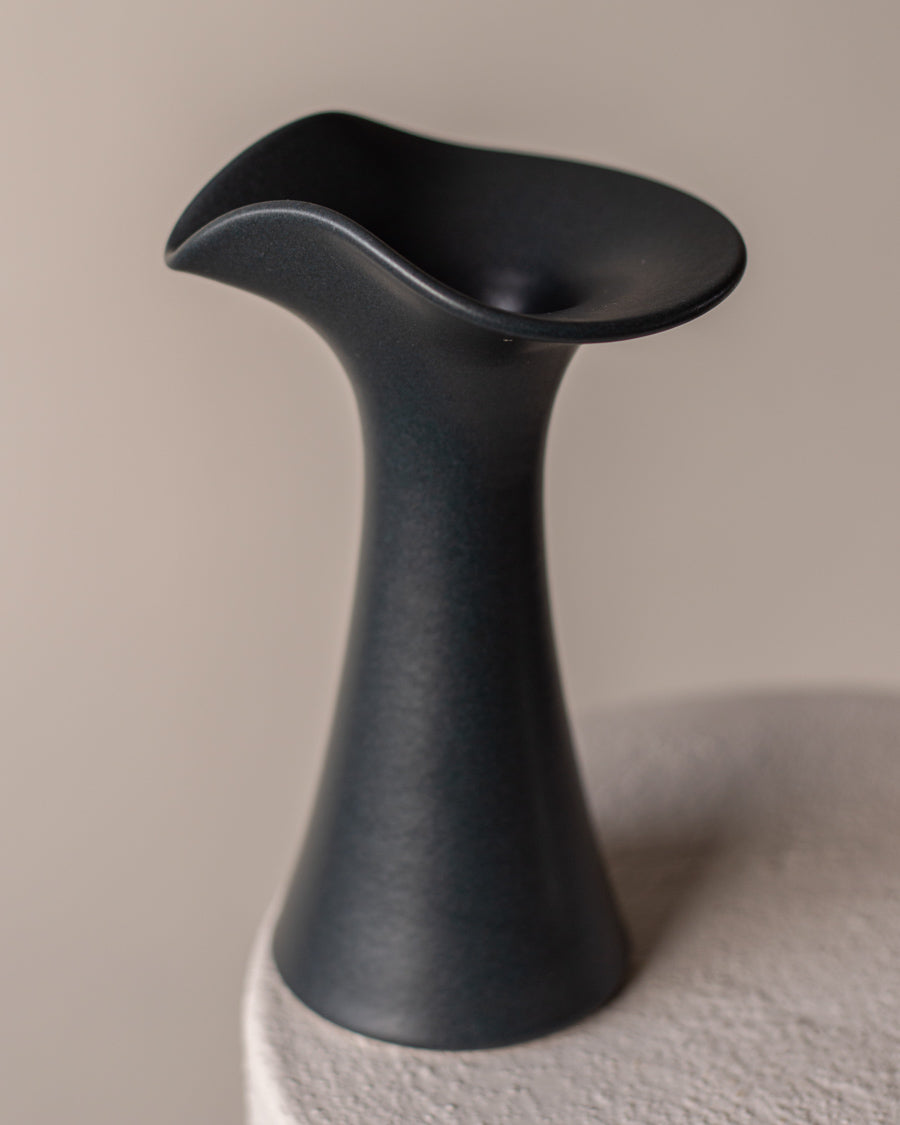 Juoda vaza su banguotu kanteliu